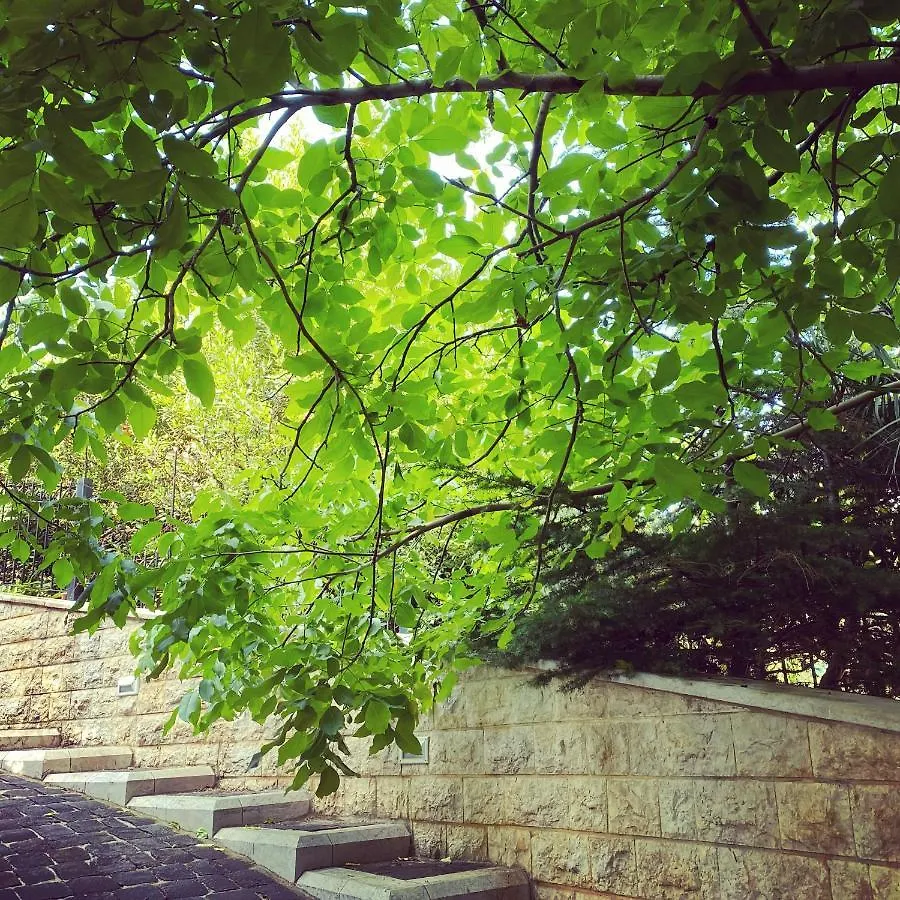 Dar Lalie - Yarze Hotel Beirut Guest house